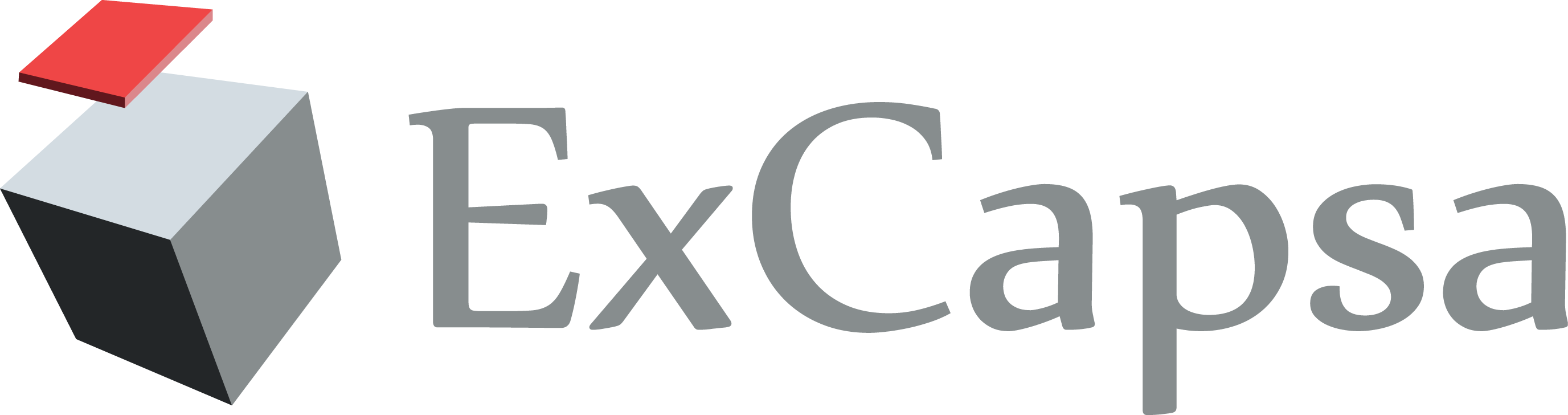 ExCapsa Group Logo